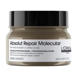 L’Oréal Professionnel Absolut Repair Molecular Hair Mask 250ml, For Ex